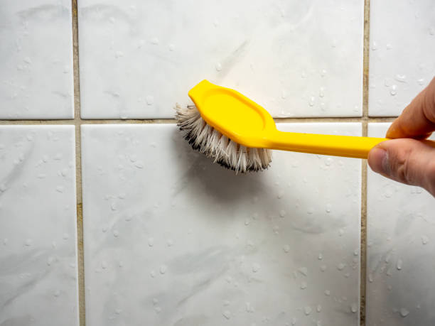Best Mold Cleaning Services  in Wtell, LA
