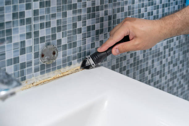  Wtell, LA Mold Removal Pros