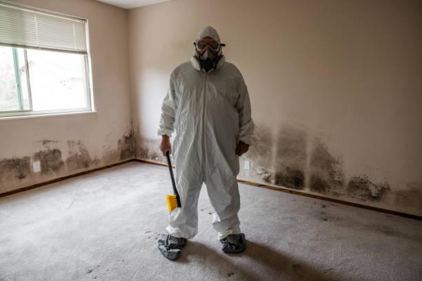 Trusted Lawtell, LA Mold Removal Experts